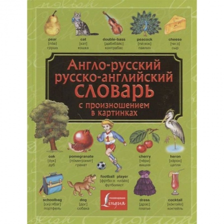 Словари, книга Англо-русский. Русско-английский словарь с произношением в картинках купить по скидке