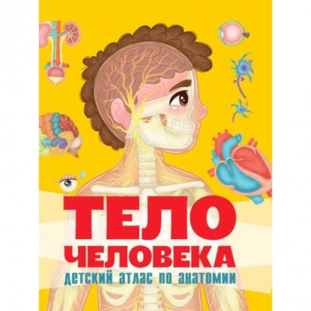 Атласы и карты, книга Тело человека. Детский атлас по анатомии купить по скидке