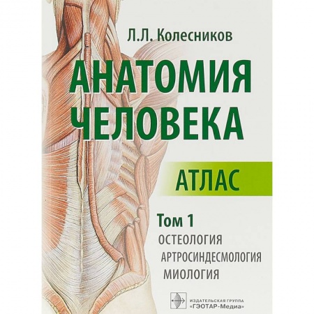 Биологические науки, книга Анатомия человека. Атлас в 3-х томах. Том 1. Остеология, артросиндесмология, миология купить по скидке