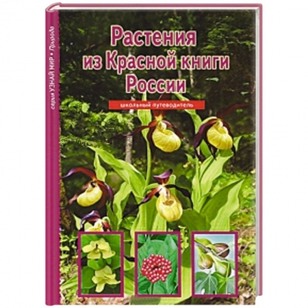 Книги, книга Растения из Красной книги России. Школьный путеводитель купить по скидке
