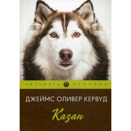 Зарубежная современная проза, книга Казан купить по скидке