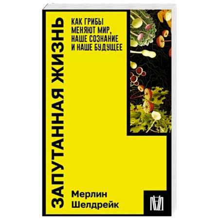 Грибы. Справочники. Определители, книга Запутанная жизнь. Как грибы меняют мир, наше сознание и наше будущее купить по скидке