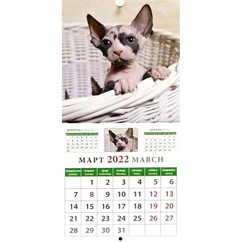 Календарь на 2022 год 'Забавные котята' (30205)