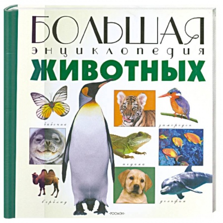 Книги, книга Большая энциклопедия Животных купить по скидке