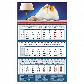 Календарь на 2023 год. Год кота. Пушистый красавчик