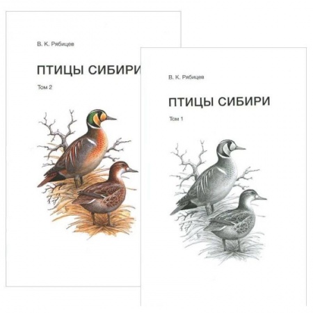 Зоология, книга Птицы Сибири. Справочник-определитель. В 2-х томах купить по скидке