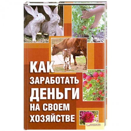 Книги, книга Как заработать деньги на своем хозяйстве купить по скидке