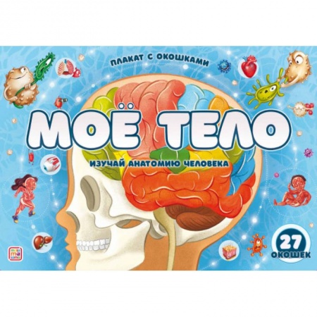 Человек. Земля. Вселенная, книга Плакат с окошками. Наше тело купить по скидке