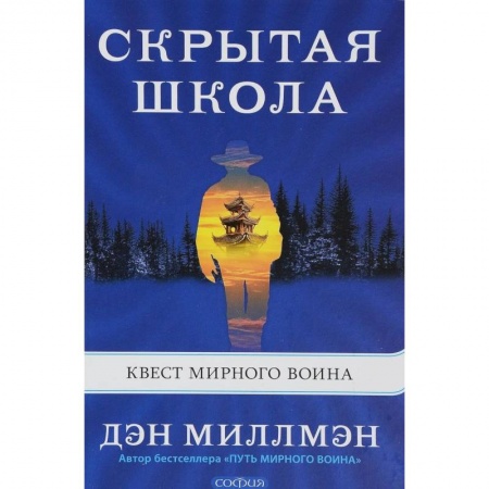 Общая психология, книга Скрытая школа. Квест мирного воина купить по скидке