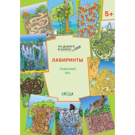 Книги для дошкольников (4-6 лет), книга Лабиринты. Чудесный лес. Тетрадь для занятий с детьми 5-6 лет купить по скидке