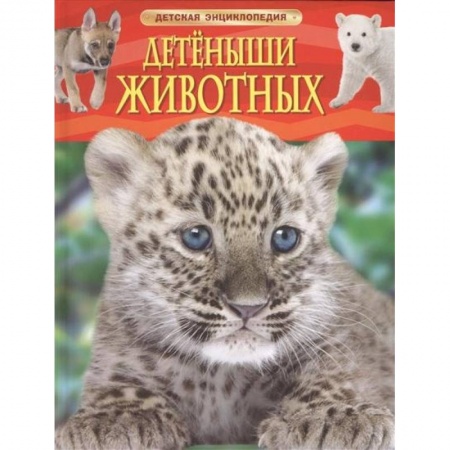 Книги, книга Детеныши животных купить по скидке
