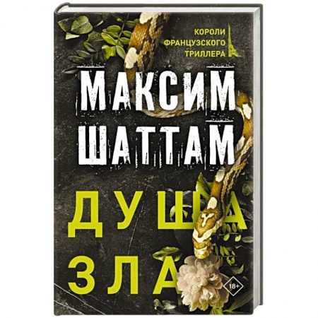 Зарубежный детектив, книга Душа зла купить по скидке