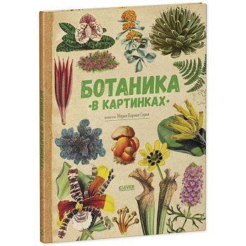 Ботаника в картинках