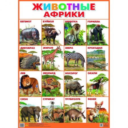 Книги, книга Плакат. Животные Африки (550х770) купить по скидке