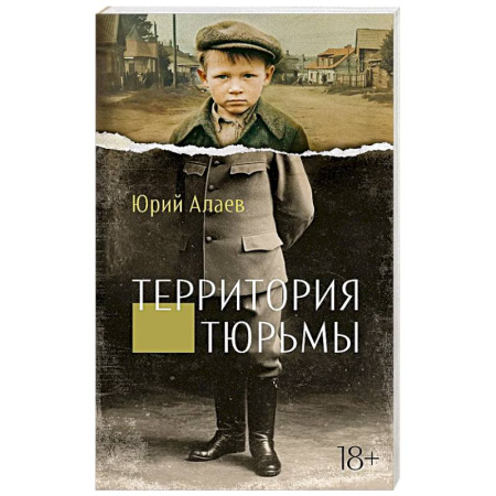 Русская современная проза, книга Территория тюрьмы купить по скидке