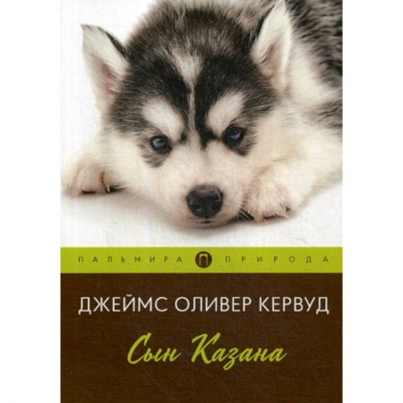 Зарубежная современная проза, книга Сын Казана купить по скидке