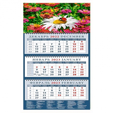 14342 2023 Календарь Божья коровка на ромашке