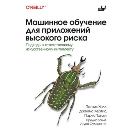 Информационные технологии, книга Машинное обучение для приложений высокого риска купить по скидке