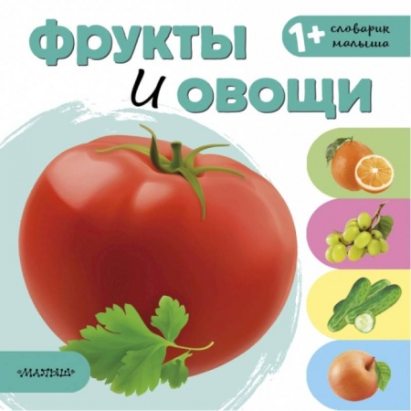 Развитие общих способностей, книга Фрукты и овощи купить по скидке