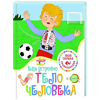Как устроено тело человека Как устроено тело человека