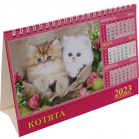 Книги, книга Календарь Год кота. Котята на 2023 год купить по скидке