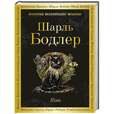 Зарубежная поэзия, книга Кот купить по скидке