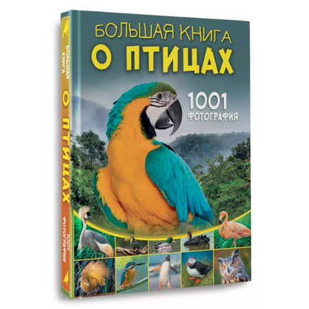 Животный и растительный мир, книга Большая книга о птицах. 1001 фотография купить по скидке