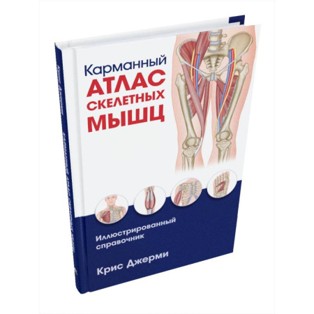 Анатомия и физиология человека, книга Карманный атлас скелетных мышц: Иллюстр.справочник купить по скидке