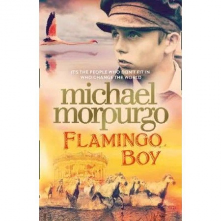 Чтение на английском языке, книга Flamingo Boy купить по скидке