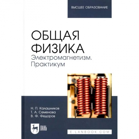 Физика. Астрономия, книга Общая физика. Электромагнетизм. Практикум: Учебное пособие для вузов купить по скидке