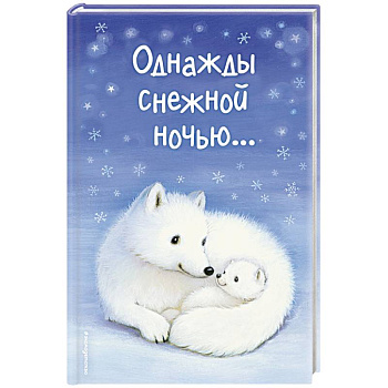 Однажды снежной ночью...