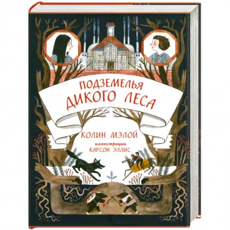 Книги, книга Подземелья Дикого леса купить по скидке