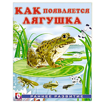 Как появляется лягушка