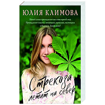 Стрекоза летит на север