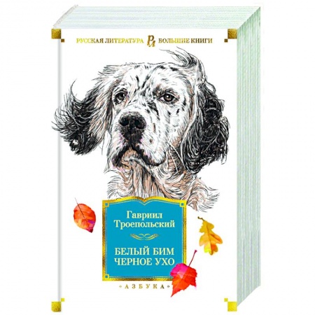 Классическая художественная проза, книга Белый Бим Черное ухо купить по скидке