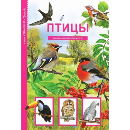 Книги, книга Птицы. Школьный путеводитель купить по скидке