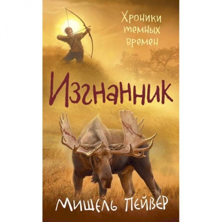 Детская фантастика, фэнтези, книга Хроники темных времен.Кн.4.Изгнанник купить по скидке