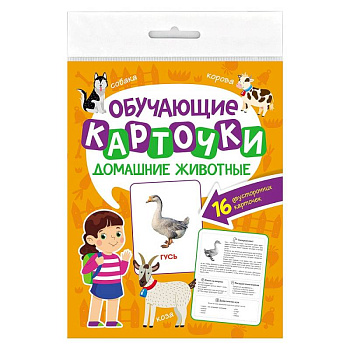 Домашние животные. 16 двусторонних карточек