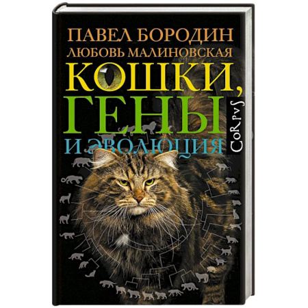 Зоология, книга Кошки, гены и эволюция купить по скидке