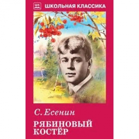 Русская поэзия для детей, книга Рябиновый костер купить по скидке