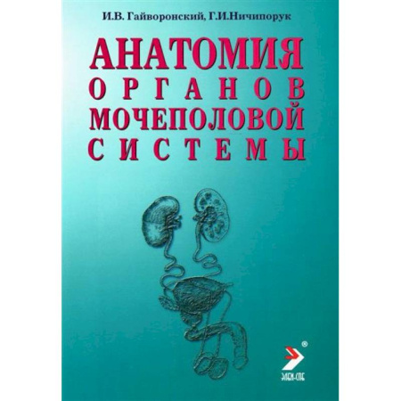 Анатомия и физиология человека, книга Анатомия органов мочеполовой системы. Учебное пособие купить по скидке