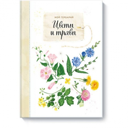 Животный и растительный мир, книга Мой гербарий. Цветы и травы купить по скидке