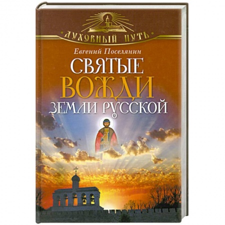 Книги, книга Святые вожди земли Русской купить по скидке